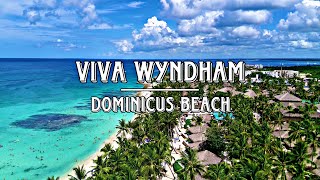 VIVA WYNDHAM DOMINICUS BEACH  4K [upl. by Oz]