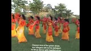 Bagurumba Dance of Bodoland [upl. by Earb594]