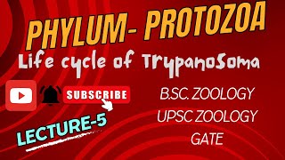 Life Cycle of Trypanosoma  Sleeping Sickness  Zoology  Parasitology  Notes in Description [upl. by Anrat]