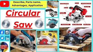 Circular Saw  How to use a Circular Saw  DIY Circular Saw  Woodworking Tools Hack  Crosscut [upl. by Nosreg]