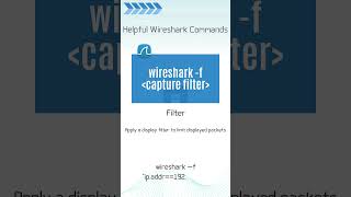 Wireshark Command Capture Filter [upl. by Hgielram]