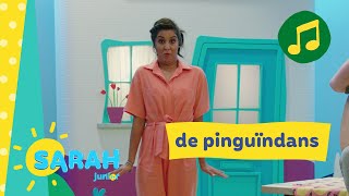 de pinguïndans  Sarah zingt  Ketnet Junior [upl. by Aidan]