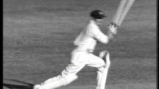 Paul Kelly  Bradman Official Video [upl. by Allesig998]