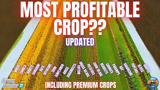 MOST PROFITABLE CROPS TEST  Farming Simulator 22 [upl. by Dorelle328]