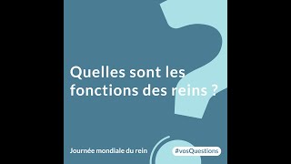 Quelles sont les fonctions des reins [upl. by Aderb]