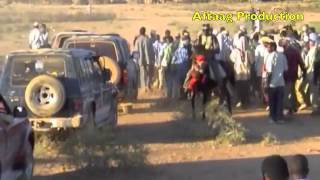 Daawo bilicda Dhulkaaga degmada Godaalo dooxada nugaal gsool ee Somalia [upl. by Armyn]