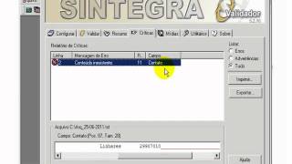 Erros Sintegra  Registro 11 Conteúdo inválido Contato 19 [upl. by Charita412]