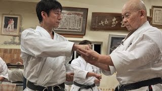 Shotokan karate meets Okinawan Karate【Tatsuya Naka】 [upl. by Oniskey70]