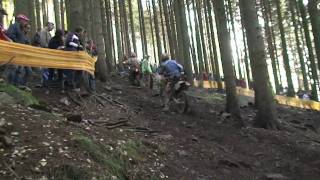 Enduro DEM 2009 quotRund um Zschopauquot Part 2 [upl. by Shandeigh691]