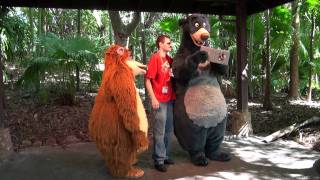 Magical Moments with Baloo at Walt Disney World HD [upl. by Naliorf224]