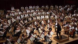 STRAUSS Heldenleben  TMCO with Andris Nelsons [upl. by Ridley]