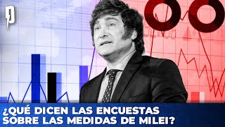 ¿Qué dicen las ENCUESTAS sobre las MEDIDAS de MILEI  Entrevista a Facundo Nejamkis [upl. by Dorman443]