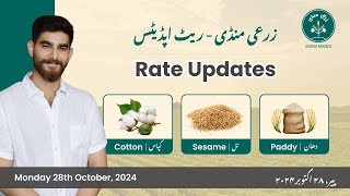 Daily Grain Market Updates Cotton Sesame amp Paddy  کپاس، تل اور دھان Monday 28th Oct 2024 [upl. by Nogas]