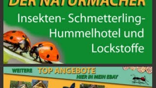 InsektenhotelInsekt InsektenhausSchmetterlingMarienkäferBienenNaturmacher Insektenhotel [upl. by Ynafit]