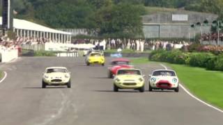 Lenham GT SS1800 Goodwood 2010 [upl. by Ches473]