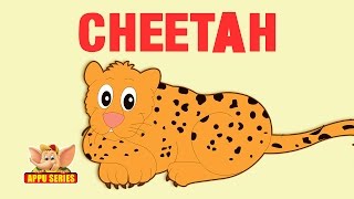 Animal Facts  Cheetah [upl. by Neirual663]