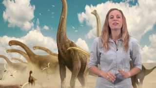 Dinosaur Myth Busted The Brontosaurus [upl. by Evan427]