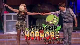 Little Shop of Horrors LIVE  Suddenly Seymour [upl. by Post326]