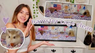 HAMSTER CAGE CLEAN OUT Roborovski Hamster [upl. by Massab]