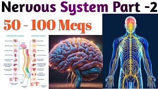 Overview MCQs on Nervous System  MCQs on Nervous System  Medical Exams [upl. by Tchao]