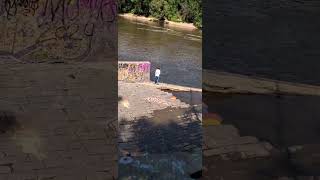 Minnehaha abandoned amphitheater [upl. by Lledra]