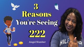 222 Meaning 💥 3 Real Reasons Your Seeing 222 Angel Number [upl. by Angelis47]