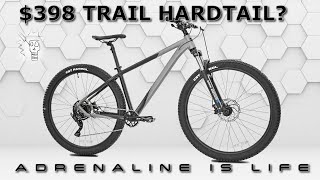 Is This Cheap Hardtail MTB Worth it A Look at the Kent Trouvaille 29er Mountain Bike [upl. by Weinstock983]