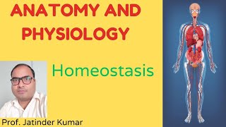 Homeostasis🌻For NEETBSc MScSSCUPSC Students🌻 [upl. by Gnilsia658]