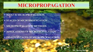 Micropropagation  Its methods stages applications and disadvantages  Clonal propagation [upl. by Eirtemed]