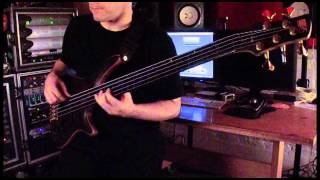 Cynic quotVeil of Mayaquot Bass PlayThrough by Sean Malone [upl. by Simaj]