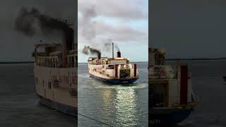 Arrival from Calbayog and Mintac Masbate  MV Masbate City [upl. by Reo]