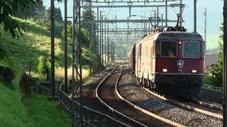 Schweizerische Re1010  SBB Re 66 11613 und Re44 in Immensee am Zuger See [upl. by Harilda]