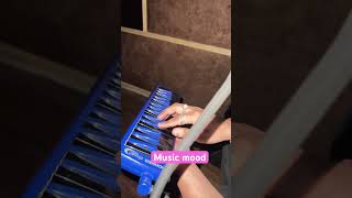 Practice time melodica  music mood  MT music  instrument [upl. by Marleen]