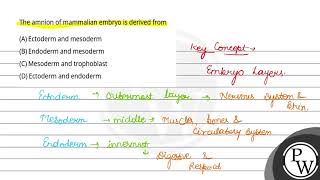 The amnion of mammalian embryo is derived from [upl. by Baugh929]