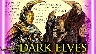 The Best Race in the Elder Scrolls the Dunmer  The Elder Scrolls Podcast 59 [upl. by Tutankhamen]