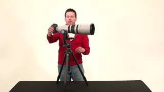 Gimbal Tripod Head  Comparison Review amp Buying Guide [upl. by Chloris412]