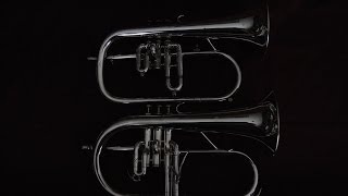 Comparison A Getzen Eterna amp E M Winston Flugelhorn [upl. by Lundell701]