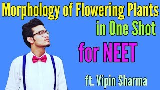 Morphology of Flowering Plants in One Shot Best Video for NEET by Vipin Sharma [upl. by Knighton]