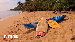 Bad Bunny  Neverita 360° Visualizer  Un Verano Sin Ti [upl. by Ynad564]