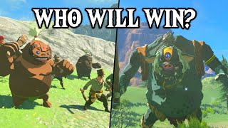 Monster Control Crew VS HINOX  Zelda Tears of the Kingdom [upl. by Aholah727]