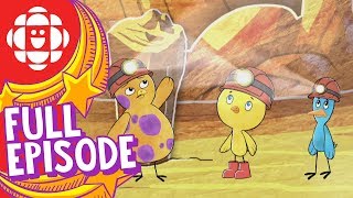 Chirp  Journey to the Cave of Wonders  CBC Kids [upl. by Relyhcs]