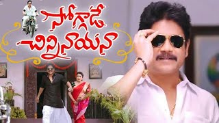 Soggade Chinni Nayana Full Movie  Nagarjuna  Ramya Krishna  Review amp Story [upl. by Hayyifas755]