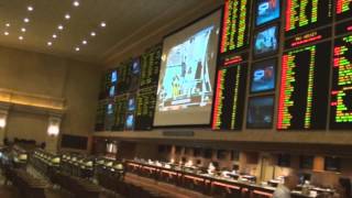 Mandalay Bay Sports Book [upl. by Trip]