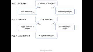 Approach to Hypoxia Part 4 The Aa Gradient [upl. by Neelyhtak280]