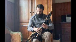 Uilleann Pipes Elsie Marley [upl. by Haeluj]