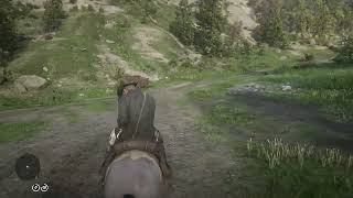 Red Dead Redemption 2 Ambience Searching for Dragons Mouth Orchids in Grizzlies East [upl. by Yeliac]