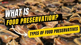 Food Preservatives – Types of Food Preservatives – Food Science amp Technology [upl. by Yenffit]