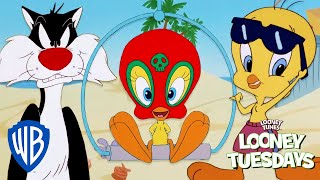 Looney Tuesdays  Best of Tweety from Sylvester and Tweety Mysteries 🔍  Looney Tunes  WB Kids [upl. by Brandy]