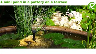 Tips for Creating a Landscaped Mini Pond [upl. by Lanni]