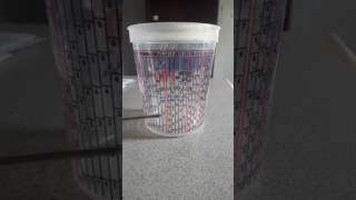 How to use your mixing cup [upl. by Umont310]